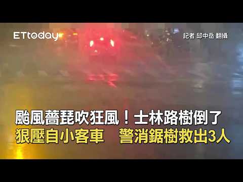 颱風薔琵吹狂風！士林路樹倒了狠壓自小客車 警消鋸樹救出3人