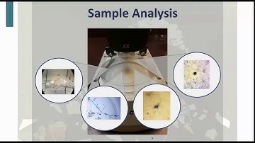 Volunteer Monitoring: Spotlight on NOAA Sea Grant Coastal Monitoring Programs