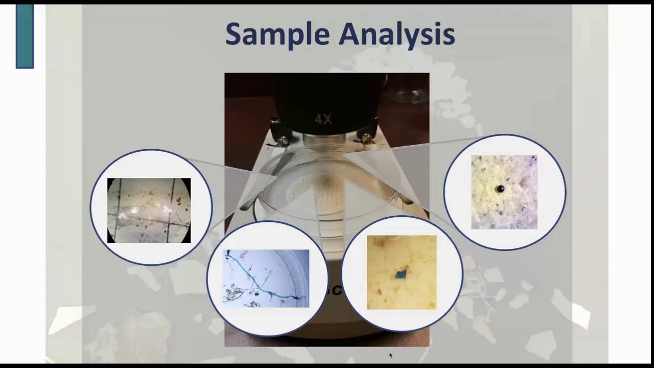 Volunteer Monitoring: Spotlight on NOAA Sea Grant Coastal Monitoring Programs