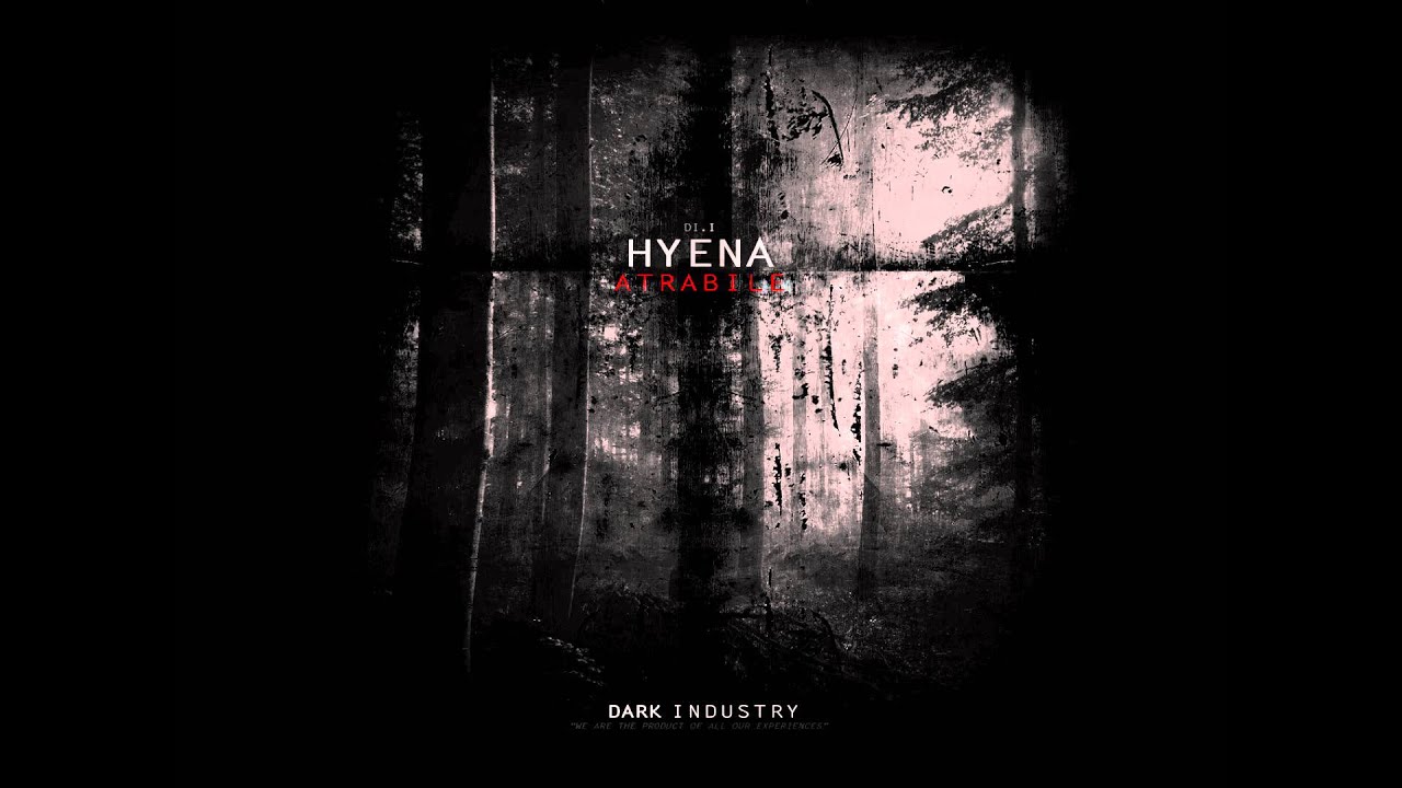 Guarda Hyena - Beauty Lies In The Depths Of The Night su YouTube Guarda Hyena - Beauty Lies In The Depths Of The Night su YouTube