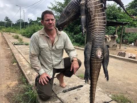Pangolin and Bushmeat