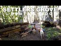 Settlers Grove to Bobtail Ridge | Panhandle National Forest, Idaho