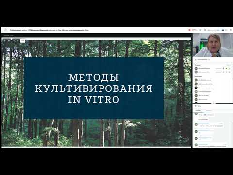 Лабораторная работа №1 Введение образцов в  культуру in vitro  Методы культивирования in vitro