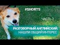 Разговорный английский. Нашли общий интерес. Часть 2. #shorts