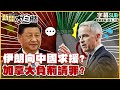 全球經濟影響
