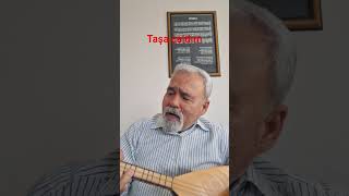 Taşa Çaldim Ayvam İle Narimi Ürkü