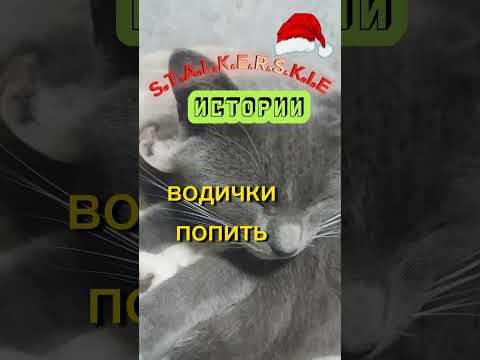 С.т.а.л.к.е.р.с.к.а.я история слушает Манюня.#Shorts #Юмор #Анекдоты #Шутки #Прикол #Смех.