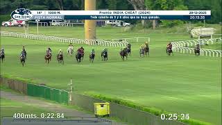 Vidéo de la course PMU PREMIO INDIA CHEAT 2024