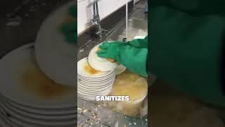 Clean Dishes In Seconds