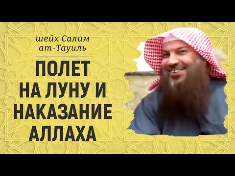 Видео: Аль шувууд хамгийн удаан амьдардаг вэ?