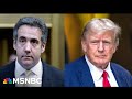 Michael cohen is the only one who can say if trump was aware of falsification of business records