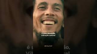 Reggae History  bobmarley reggae 