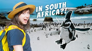 Driving Cape Town's Coast to Meet 1000s of Penguins