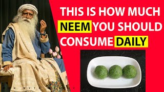 How much NEEM should you consume Daily? - Sadhguru Explains