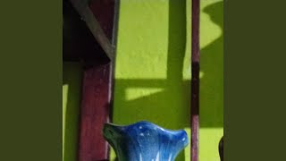 Jj dia jarii Jj dia jarii