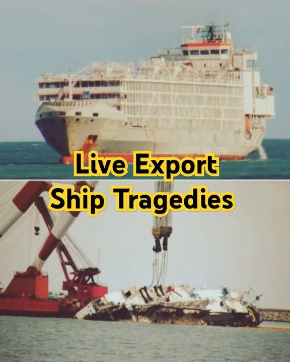 Gangbang creampie ni onlayn tomosha qiling Serial - Bolim materiallari - 230