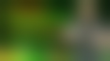 Align Tactical Thumb Rest Installation & Glock 43X Parts Guide