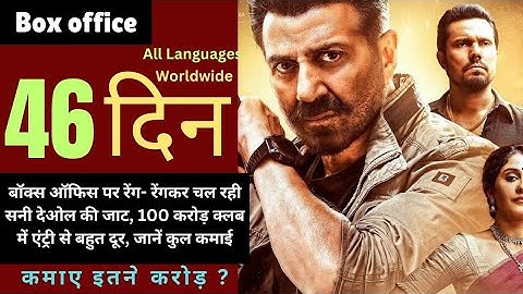 Jaat Box Office Collection Jaat Day 46, Randeep Hooda,  Collection, Sunny Deol worldwide collection