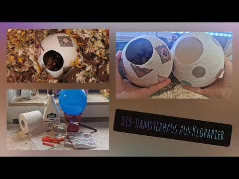 Video: DIY Hamsterhaus