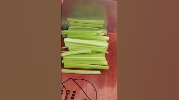How to BRUNOISE CELERY Like a Ninja | $vegchop | Vegetable Chopping Channel | Satisfying ASMR