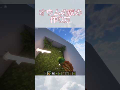 オウムの家の作り方#マイクラ #マインクラフト #minecraft #マイクラ建築 #shorts