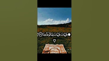 تلاوة خاشعة ومؤثرة بصوت جذاب ومؤثر جدا #القرآن_الكريم #تلاوة_خاشعة #تلاوة_مؤثرة #اكسبلور