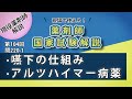 国試009嚥下の仕組み、アルツハイマー病薬【薬剤師国家試験第104回問220221】