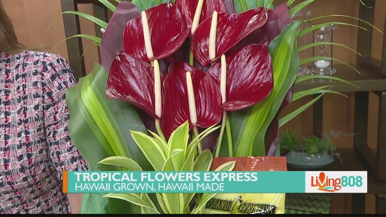 Hawaii Grown Hawaii Made Tropical Flowers Express YouTube