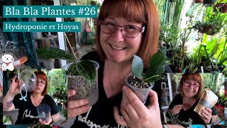 BLA BLA Plantes #26 🌿Hydroponie et Hoyas | Je teste un substrat ... Le  Lechuza Pon 😀