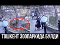 Бекор Бу Ишни Килишди! Хайвонлар Билан Боглик Ходисалар