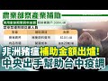 防豬瘟措施