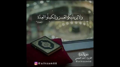شهر رمضان الذي انزل فيه القرآن || حالات دينية || القرآن الكريم