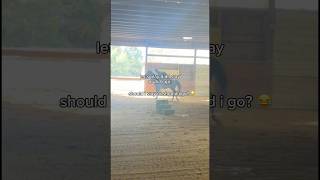 welp… | #horse #equestrian #trending #fyp #fail #funny #blowup #pony #bareback #horseriding