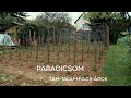 PARADICSOM – TÁM, TALAJ, MULCS, ÁROK - GOLDPERGER ANDRÁSSAL