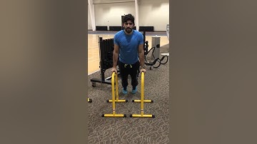 Equalizer Tricep dips