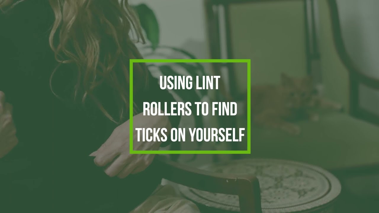 Fight the Bite Using a Lint Roller to Find Ticks on Yourself Lake