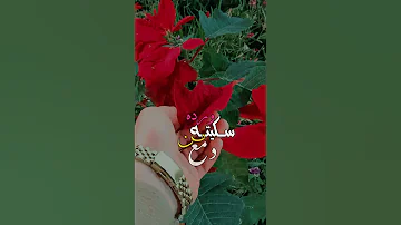 وردة سكيتهة من دمع العيون تصويري وتصميمي رأيكم حبايبي احبكم هواية ستوريات حالات واتس اب انستا 