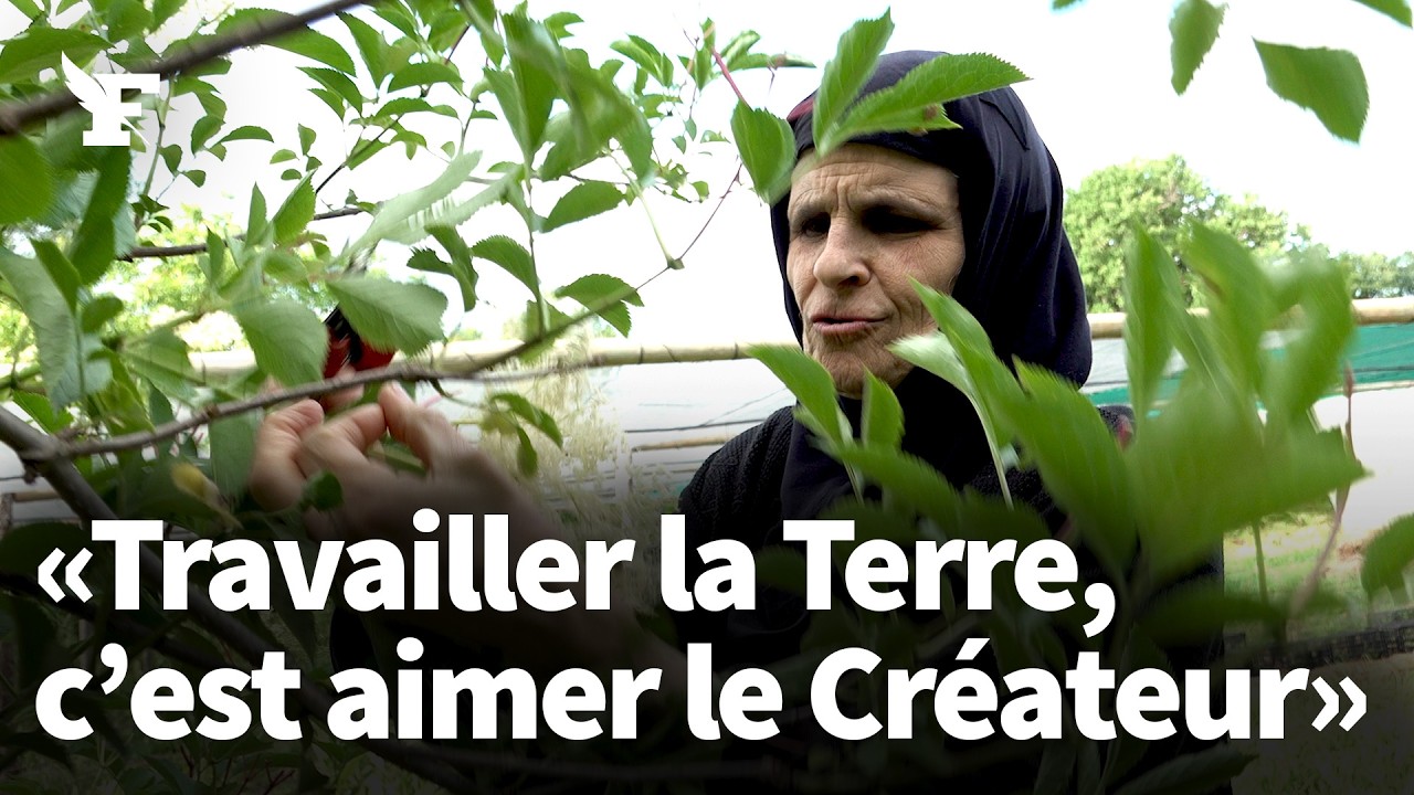 Vigne, figues, potager... Les monastères vont-ils révolutionner le monde  agricole ?