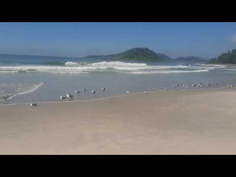 Crime Ao Vivo na Praia secreta no Guarujá #praia