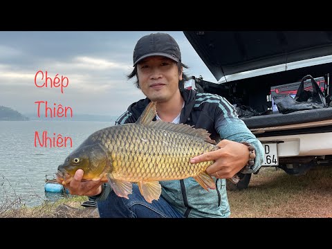 Video CÂU CÁ CHÉP HỒ SÔNG MÂY- CHIA SẺ KINH NGHIỆM TRÁNH CÁ... - youtube