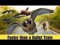 Fastest animals in the world 2022 -  Top 16 Fastest Animals