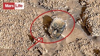 Download Lagu NASA's nieuwe beelden van Mars | Marsrover ontdekt leven op Marsoppervlak: Sol 1744 MP3 Download Lagu NASA's nieuwe beelden van Mars | Marsrover ontdekt leven op Marsoppervlak: Sol 1744 MP3