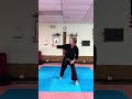 Shuri Ryu Kihon 1 6 MOV