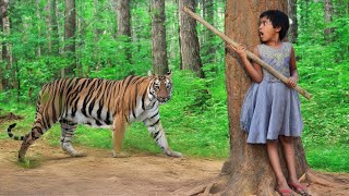 Lakadhare Tiger Attack in jungle | Royal bengal tiger attack stories part 113