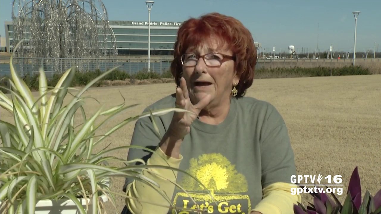 City of Grand Prairie: Let's Get Growing 0317 - YouTube