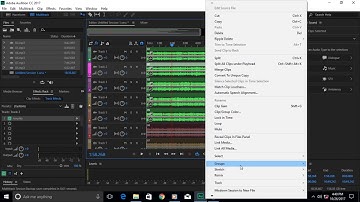 Audition 72 How to Make Group of Clips and Tracks in Multi Track Session in Audition