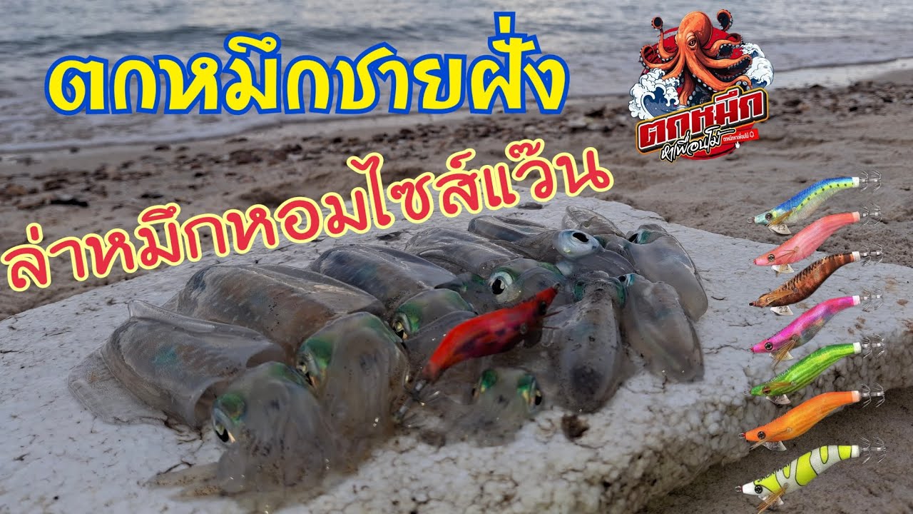 ตกหมึกชายฝั่ง ล่าหมึกหอมไซส์แว๊นไปใส่ต้มมาม่าอร่อยแซ่บเลยครับ #jackway มีเสียง #ตกหมึกหาเพื่อนโม้