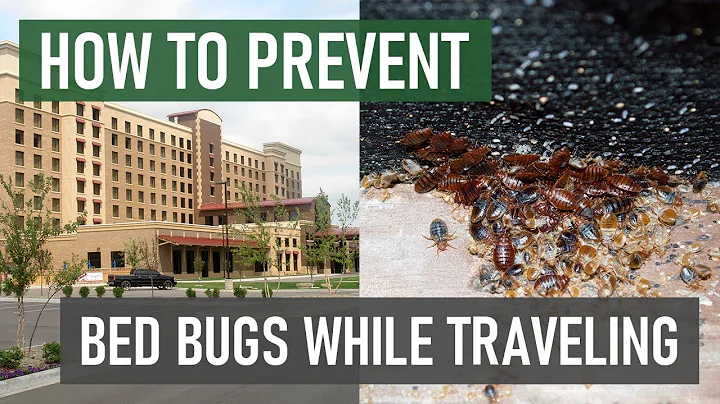 Top Tips for Preventing Bed Bugs While Traveling