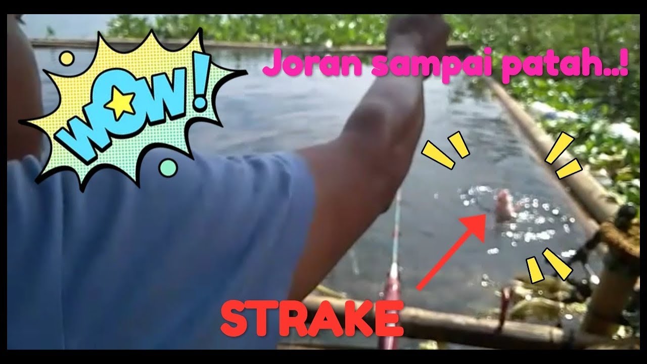 STRAKE TERUS TERUSAN DI SPOT INI!! MANCING CIRATA SPOTS pasir DOGI!!!