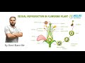 Outbreeding Devices & Embryo Development | Sexual Reproduction in Flowering Plants L5 | NEET Biology